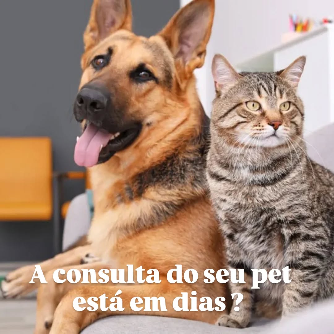 Imagem pública do trabalho de CLINVET - Clinica Veterinaria